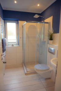 a bathroom with a shower and a toilet and a sink at Brise in Westermarkelsdorf