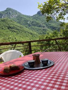 een tafel met een rood en wit geruit tafelkleed met voedsel erop bij Kuca za odmor DIVA in Mostar