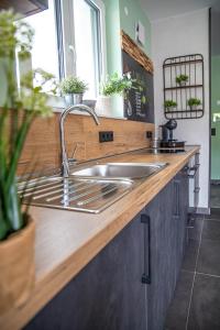 eine Küche mit einer Spüle und einer Arbeitsplatte in der Unterkunft Penthouse Wohnung mit Terrasse & Sauna - Wildecker Ferienbutze in Hönebach