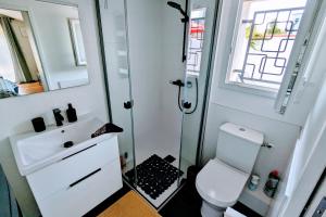 a bathroom with a toilet and a sink and a shower at Studio indépendant, calme, avec parking privé et grand jardin, proche de Toulouse in Villeneuve-Tolosane