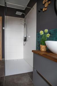 bagno con doccia e lavandino di Penthouse Wohnung mit Terrasse & Sauna - Wildecker Ferienbutze a Hönebach