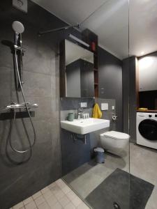 a bathroom with a sink and a toilet and a shower at Albatross RELAX seaside design apartment with terrace in Ķesterciems