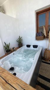 a large bath tub in a room with plants at Spongia Apartments Kalymnos in Kalymnos