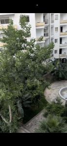un arbre devant un grand bâtiment dans l'établissement apartment 100m2 center malabata, à Tanger
