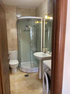 een badkamer met een douche, een toilet en een wastafel bij Riverside Villa in Tivat