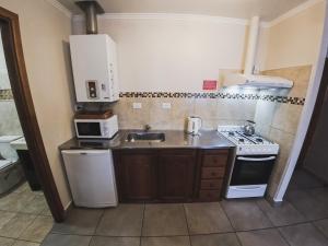 a small kitchen with a sink and a stove at La Posta Apart in Ushuaia