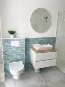 een badkamer met een toilet, een wastafel en een spiegel bij Appartement - Wildecker Ferienbutze in Hönebach
