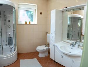 ein Bad mit einem WC, einem Waschbecken und einer Dusche in der Unterkunft AP apartment in Mostar