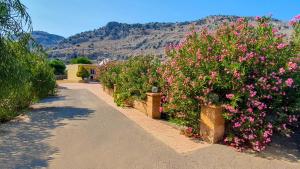 una fila de arbustos con flores rosas y una casa en George Studios Pefkos, en Pefki