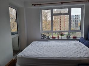 a bedroom with a white bed and two windows at Rowland Hill House in London