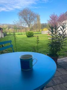 Zahrada ubytování Vila Puha