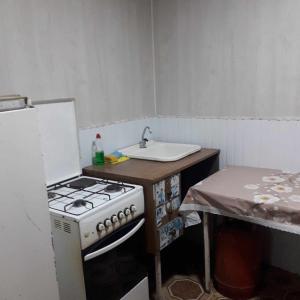 a kitchen with a stove and a sink at Norik's Beach Rest Cottages in Sevan
