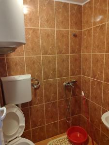 Fotografie z fotogalerie ubytování Apartments Vuceljic - Canj v destinaci Čanj