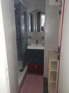 een kleine badkamer met een douche en een wastafel bij Appartement in Cap d'Agde