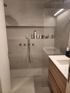 a shower with a glass door in a bathroom at סוויטה פרטית ברמת צבי in Temarah