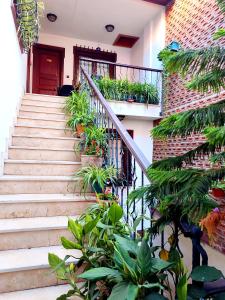 a set of stairs with plants on them at Villa Sphendone Suites Istanbul in Istanbul