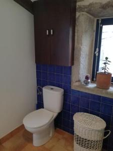 ein Bad mit einem WC und einer blau gefliesten Wand in der Unterkunft Casa rural de piedra en una aldea tranquila de Zas 