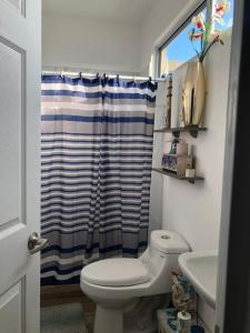 a bathroom with a toilet and a shower curtain at Casa “PLAYA DORADA” in Mazatlán