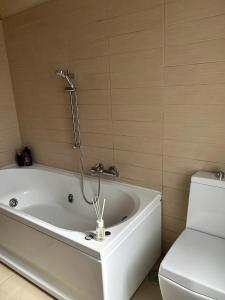 a bathroom with a bath tub and a toilet at Kennedy Apartment in Quattromiglia