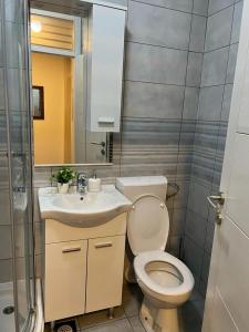 a bathroom with a toilet and a sink and a mirror at Apartman Manja in Lukavica +9 photos