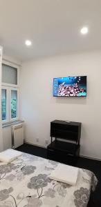 TV a/nebo společenská místnost v ubytování TOMISLAV