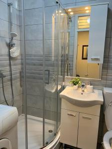 La salle de bains est pourvue d'une douche, d'un lavabo et de toilettes. dans l'établissement Apartman Manja, à Lukavica