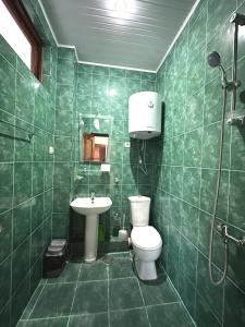 een groene betegelde badkamer met een toilet en een wastafel bij Hotel Tbiliselebi in Ureki