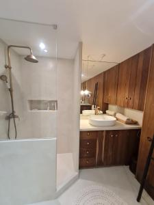 ein Bad mit einer Dusche und einem Waschbecken in der Unterkunft Villa Gloria in Landaul