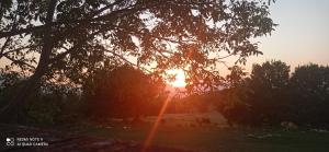 una puesta de sol se ve a través de las ramas de un árbol en Terrae Eremis: Ristorante, Bar, B&B en Roccamorice