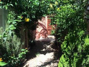 Chez Ali في الصويرة: حديقة فيها باب خشبي وبعض النباتات