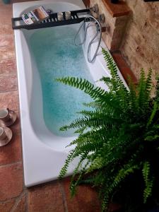 OgniVolta في بينزا: حوض استحمام مع نظارات عليه بجانب نبات