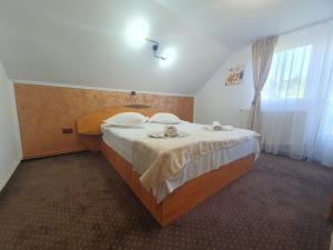 a bedroom with a large bed in a room at Casa Flavius in Bran