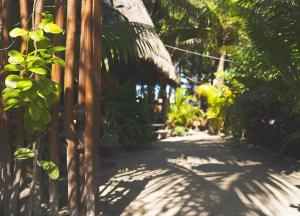 Κήπος έξω από το Kin Hostal and Camping