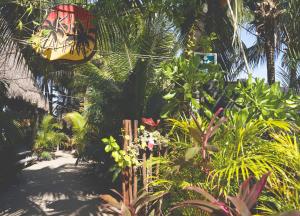 Κήπος έξω από το Kin Hostal and Camping