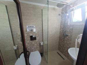 a bathroom with a shower and a toilet and a sink at Casa Flavius in Bran +31 photos