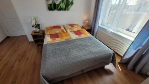 małe łóżko w pokoju z oknem w obiekcie Willa Wladek we Władysławowie