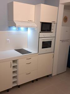 Kuchyň nebo kuchyňský kout v ubytování la casa mangue