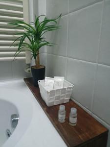een badkamer met een plant op een houten plank naast een wastafel bij (Sferisterio) Casa Carmen con idromassaggio in Macerata