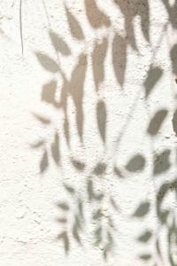 una sombra de hojas en una pared blanca en Casa dos Islas Loft, en Bahía de San Antonio
