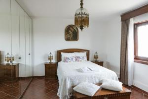 1 dormitorio con cama y lámpara de araña en Quinta do Retiro en Felgar