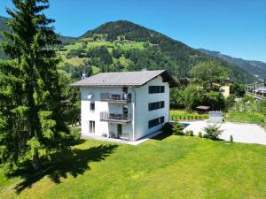 a house in a field with a mountain in the background at Apartmenthouse "5 Seasons" - Zell am See in Zell am See