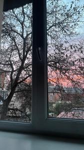 a window with a view of a tree at Sobornosti Apartment Poltava City in Poltava