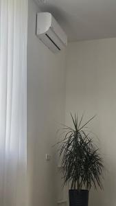 a potted plant in a room with a light at Sobornosti Apartment Poltava City in Poltava