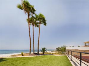 ラルナカにあるFabulous beach front house with poolの浜辺の芝生の上に並ぶヤシの木