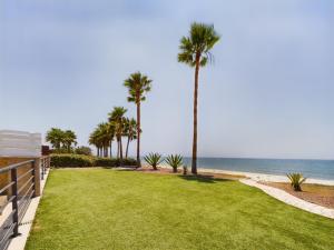 um relvado com palmeiras e o oceano em Fabulous beach front house with pool em Lárnaca