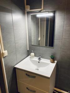 ein Bad mit einem Waschbecken und einem Spiegel in der Unterkunft STUDIO DENAIN in Denain