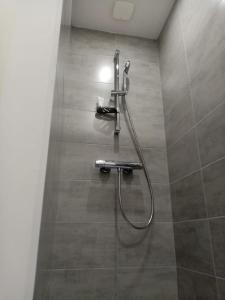 a bathroom with a shower with a hose on the wall at Appartement T4 des jardins in Chambéry