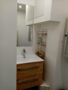 a bathroom with a sink and a mirror at Appartement T4 des jardins in Chambéry