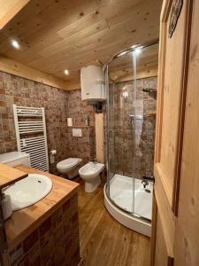 uma casa de banho com um chuveiro, um WC e um lavatório. em IL CIRMOLO 