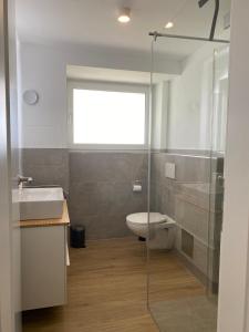 een badkamer met een toilet, een wastafel en een douche bij Apartment Kaapi in Friedrichshafen
